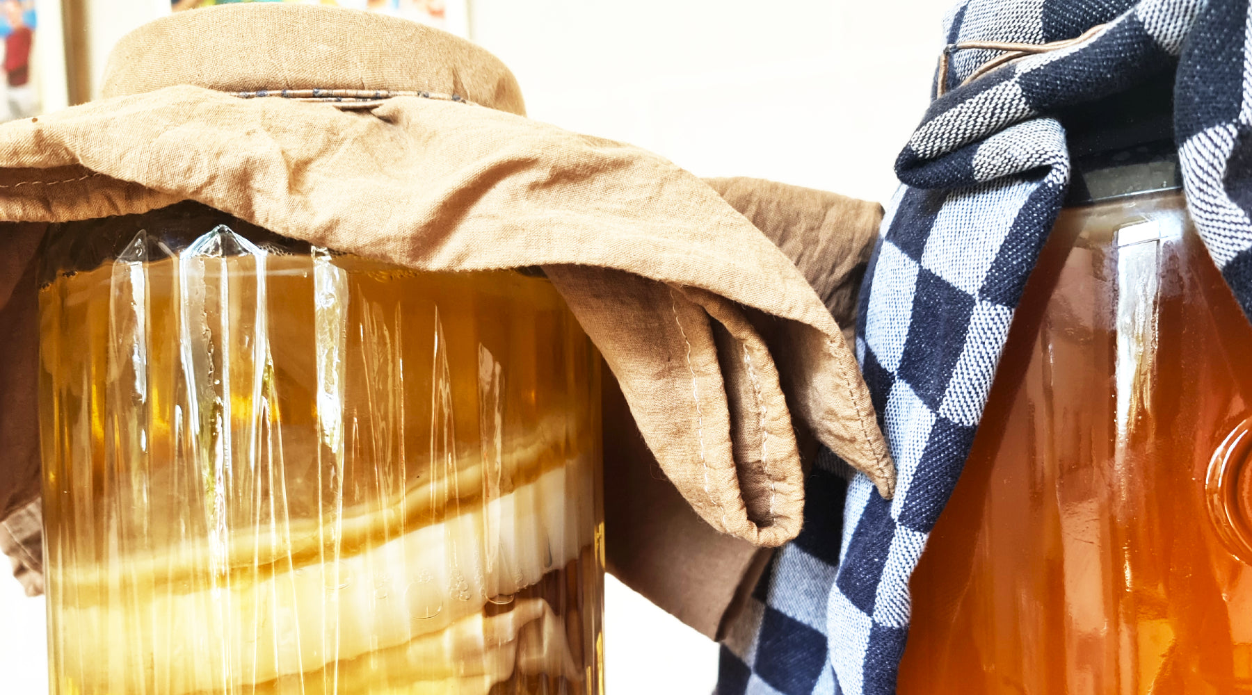 Een SCOBY in een glazen pot kombucha