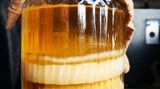 Een dikke Kombucha SCOBY in een glazen pot. 