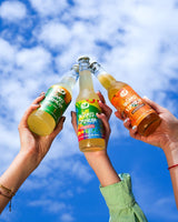 Mix Box Kombucha - BIO