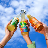 Kurkuma & Gember Kombucha - BIO