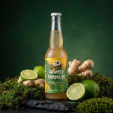 Mix Box Kombucha - BIO